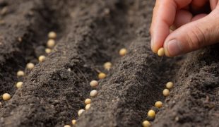 close-up-picture-hand-holding-planting-seed-plant_1150-28369-min